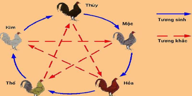 Xem Ngày Đá Gà - Coi Ngày Đá Gà Hôm Nay Chuẩn Xác Cùng LU388 2 Màu mạng gà đá ảnh hưởng trực tiếp tới xem ngày